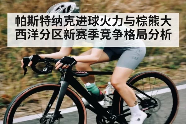 帕斯特纳克进球火力与棕熊大西洋分区新赛季竞争格局分析 | CS1.6